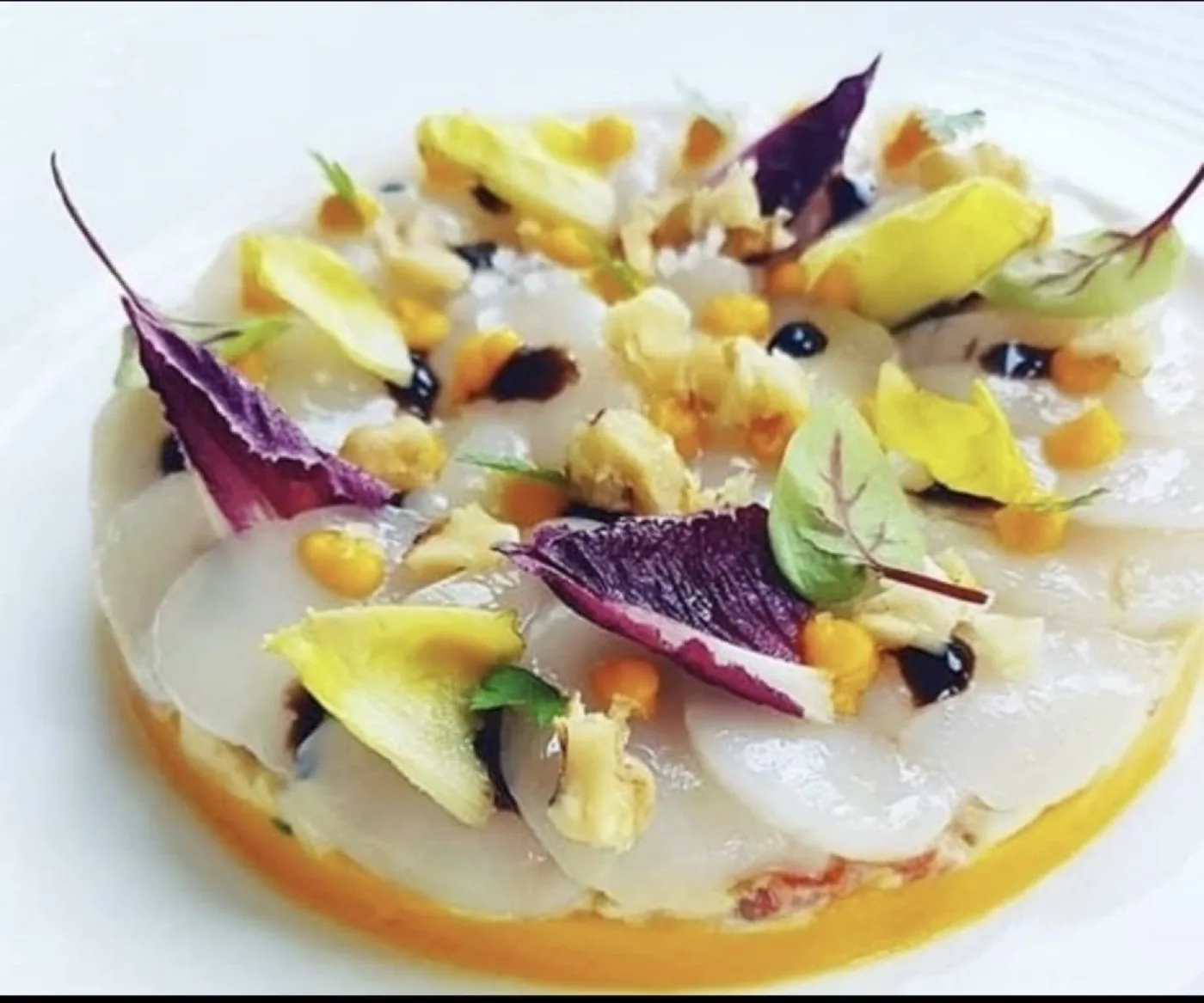 Carpaccio di branzino con indivia, fiori eduli e gocce di riduzione.
