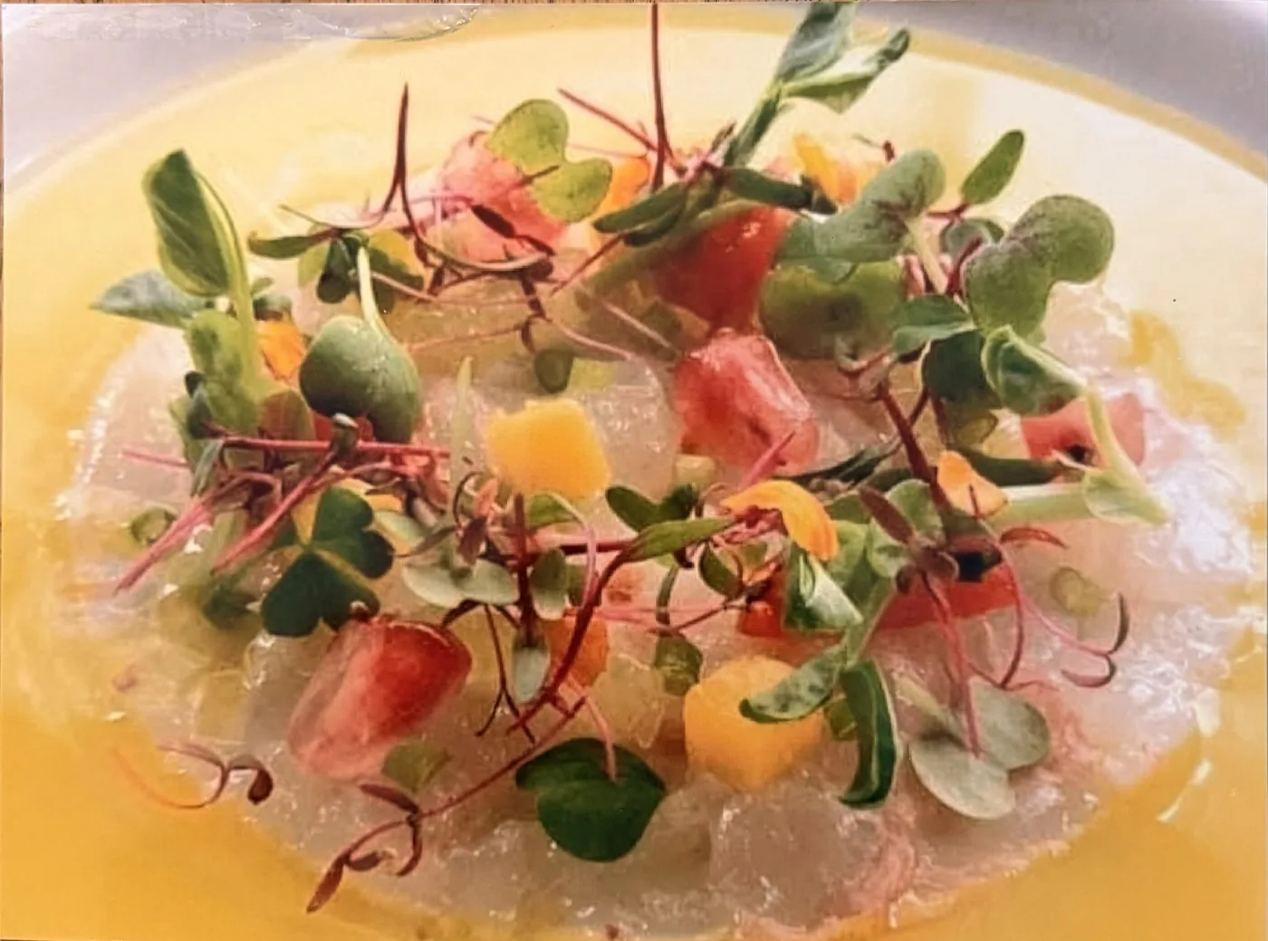 Crudo di mare con germogli, dadini di mango e agrumi su fondo dorato.